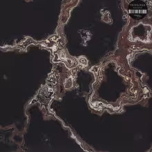 R-3974857-1351114448-1391.jpeg