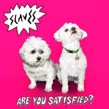 Slaves---Are-You-Satisfied.jpg