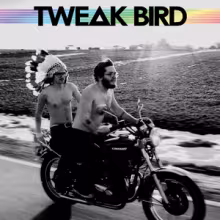 Tweak-Bird.jpg