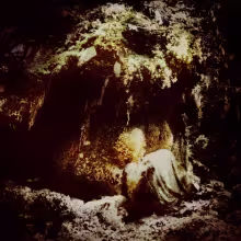 Wolves-in-the-Throne-Room-Celestial-Lineage.jpg