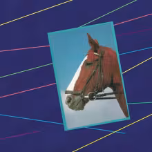 a2595023765_10__1_.jpg