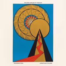 ciani_fitoussi_cover.jpg