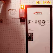 dr-dog_b-room.jpg