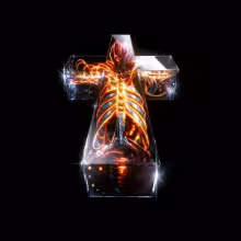 ezgif-4-bdab3c1044.jpg