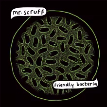 friendlybacteria.jpg