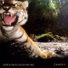 great-mountain-fire.jpg