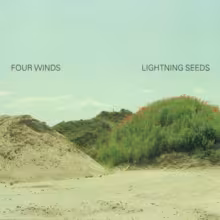 lightning-seeds.jpg