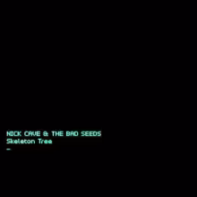 nick-cave-skeleton.jpg