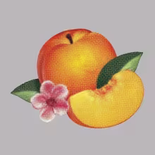 phoenix-bankrupt-608x608.jpg