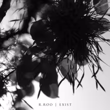 r.roo-exist-front_cover-final-450.jpg