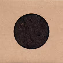 swans-birthing.jpg