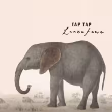 tap_tap.jpg