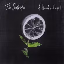 the-districts-a-flourish-and-a-spoil-album-cover__1_.jpg