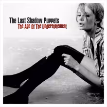 the-last-shadow-puppets-the-age-of-the-understatement.jpg