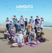 the-wombats-this-modern-glitch_505diary.blogspot.com.jpg