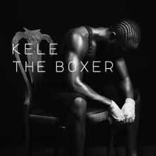theboxer.jpg