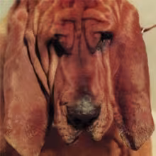 tysegall.jpg