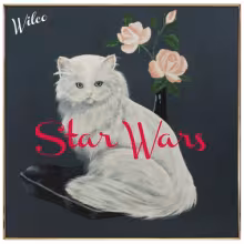 wilco_star_wars_0715.jpg