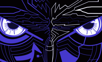 1366115261_birdseyeviewgif.gif