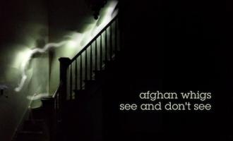Afghan-Whigs-See-and-Dont-See.jpg