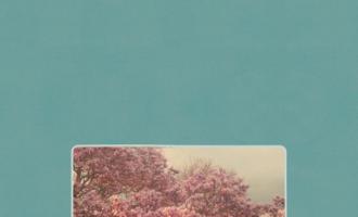 Beirut-No-No-No-560x560.jpg