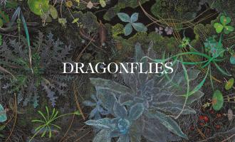DragonfliesLPColour18.09.26_1200x1200_jpg.jpg
