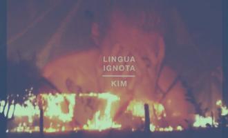 Lingua-Ignota-Kim-.jpg