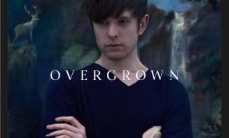 Overgrown-art-2.2013.jpg
