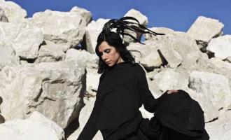 PJ-Harvey-2011.jpg
