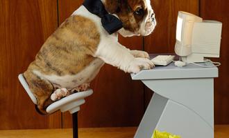 PUP_18_RS0002_01_P.JPG