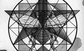 RM74_Triangle.jpg