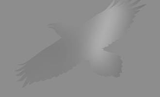 a0601446404_10.jpg