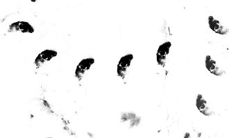 a3105229587_10.jpg
