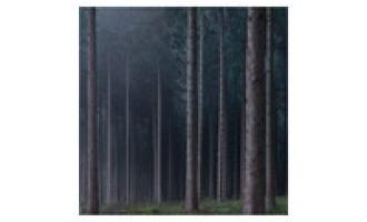 artworks-000049160350-b2vjgi-t200x200.jpg