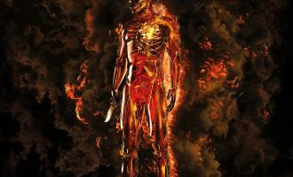 attachment-Meshuggah-Immutable-.jpeg