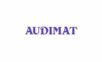 audimat.jpg