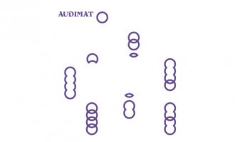 audimat_01.jpg