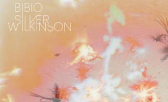 bibio-silverwilkinson.jpg