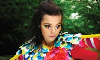 bjork-2.19.2015.jpg