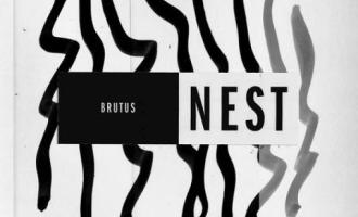 brutus-nest-music-review-punk-rock-theory.jpg