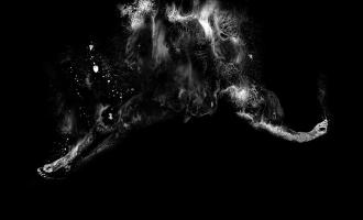 cover_06.jpg