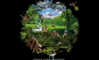 dominik-eulberg-diorama.jpg