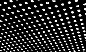 f251d544.jpg
