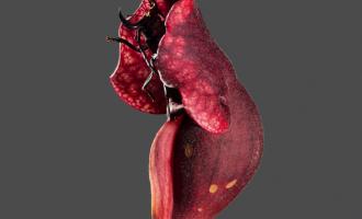 fabriclive-92-packshot-xl.jpg