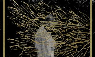 forest-swords-7.18.2013.jpg
