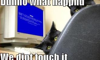 funny-pictures-cats-computer-blue-screen-death.jpg