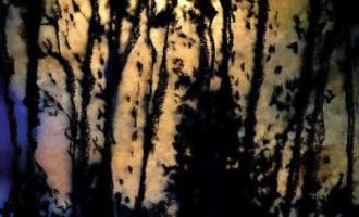 mazzy-star-still.jpg