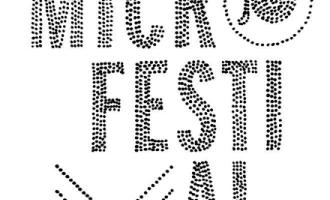 micro_festival_2012_08_04.jpg