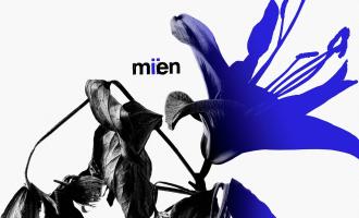 miien.jpg