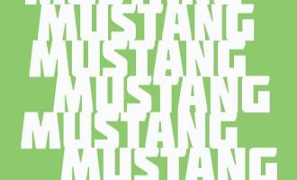 mustang.jpg